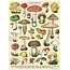 Cavallini Mini Puzzle - Mushrooms 240 Piece