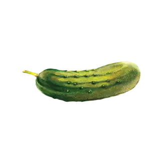 Temporary Tattoo Pair - Pickle
