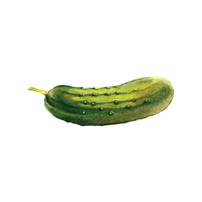 Temporary Tattoo Pair - Pickle