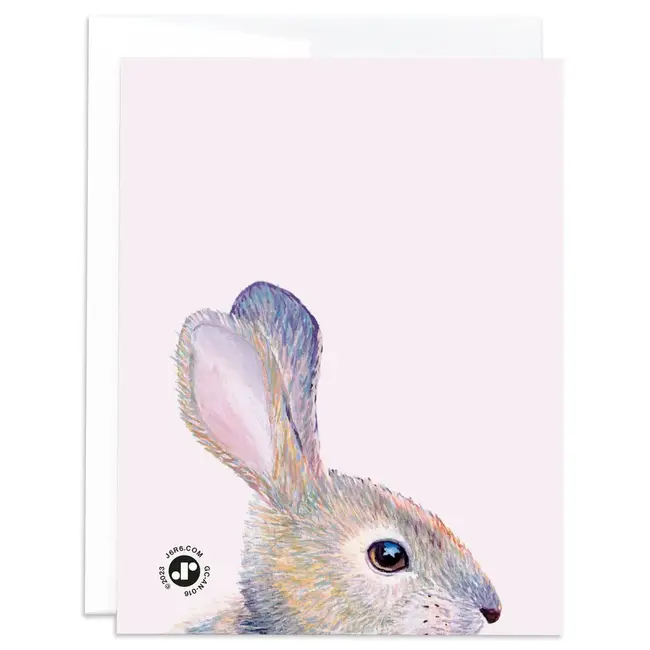 J6R6 Sweet Baby Bunny Card