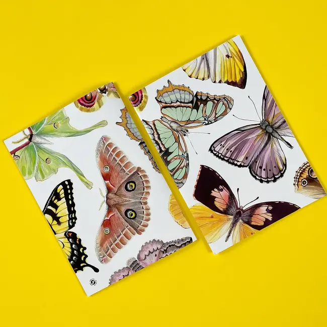 J6R6 Winged Things 1 Notebook