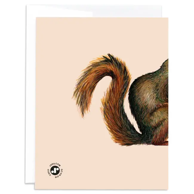 Squirrel Thank You Card