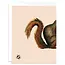 Squirrel Thank You Card