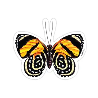 Orange Butterfly 6 Sticker