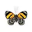J6R6 Orange Butterfly 6 Sticker