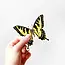 J6R6 Swallowtail Butterfly Sticker