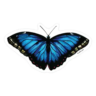 J6R6 Blue Morpho Butterfly 12 Sticker J6R6 Blue Morpho Butterfly 12 Sticker