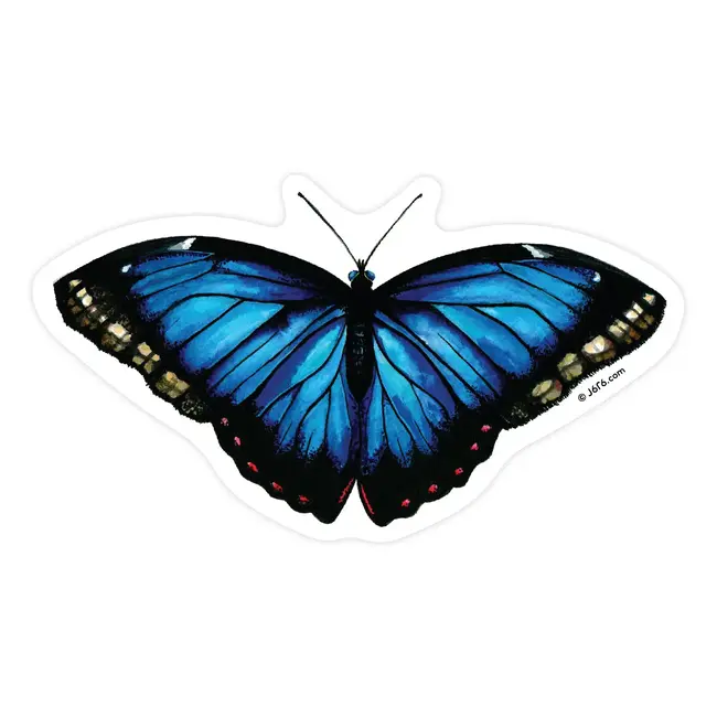 J6R6 Blue Morpho Butterfly 12 Sticker