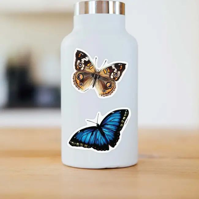 J6R6 Blue Morpho Butterfly 12 Sticker
