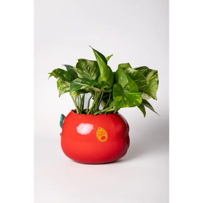 Ceramic Apple Pencil Cup