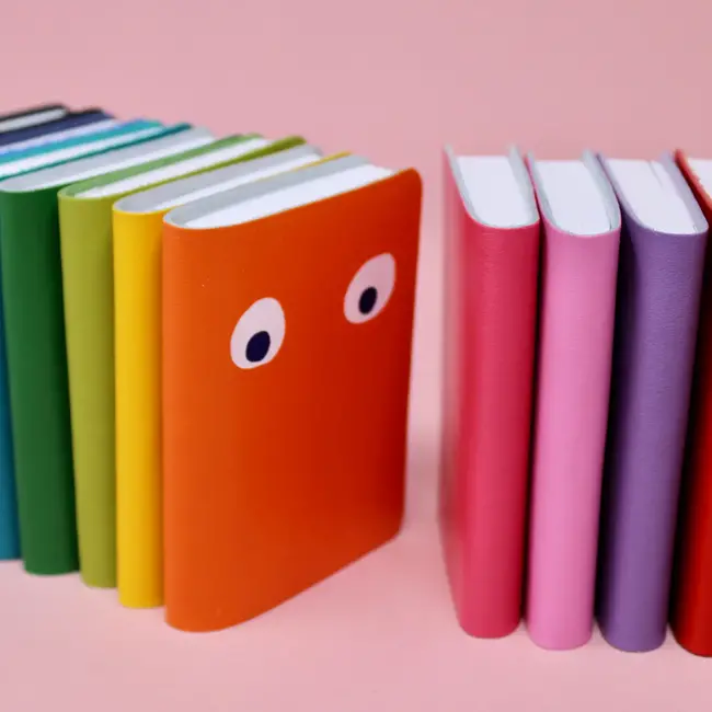 Googly Eye Mini Notebook