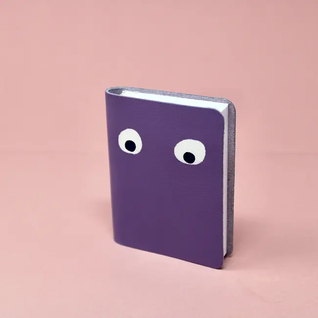 Googly Eye Mini Notebook