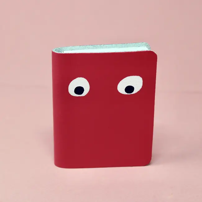 Googly Eye Mini Notebook