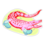 Jillian Ohl Crocs with Socks Sticker
