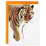 J6R6 Tiger Birthday Card