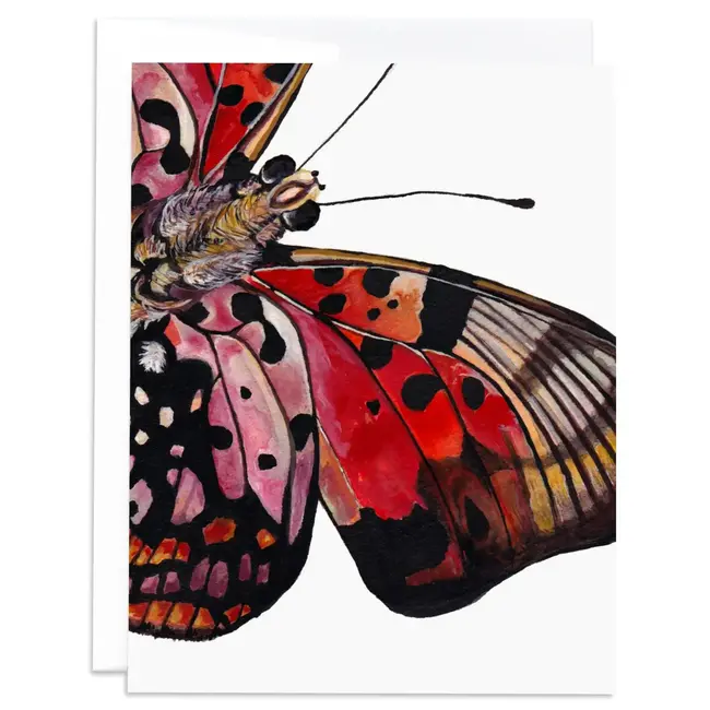 J6R6 Butterfly 10 Card