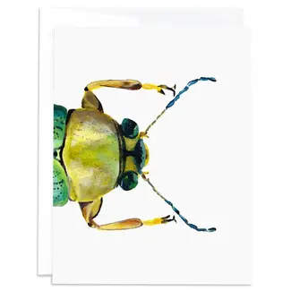 Scarab Beetle Card