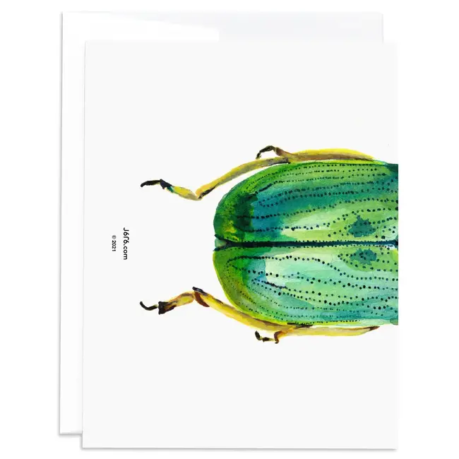 J6R6 Scarab Beetle Card
