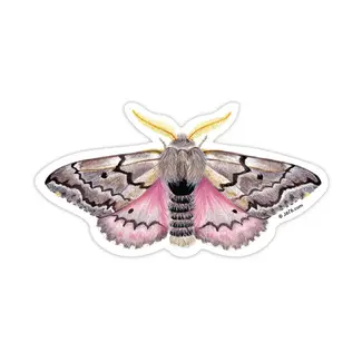 J6R6 Gray/Pink Moth 8 Sticker