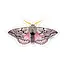 Gray/Pink Moth 8 Sticker