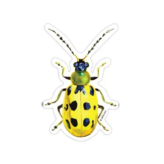Cucumber Beetle Sticker
