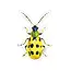 Cucumber Beetle Sticker