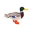 Mallard Sticker