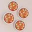 One & Only Paper Reusable Coaster Set (4) -  Pumpkin Spice