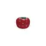 Plastic Tomato Shaped Timer