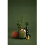 Botanica 8oz Candle Sage Green - Wild Neroli