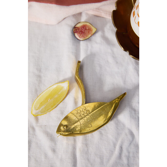Stevie Fish Citrus Juicer