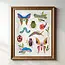 Tara Reed Insect Study Art Print 8x10