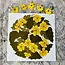 Needlebone Black Eyed Susan Vine Print 12x12