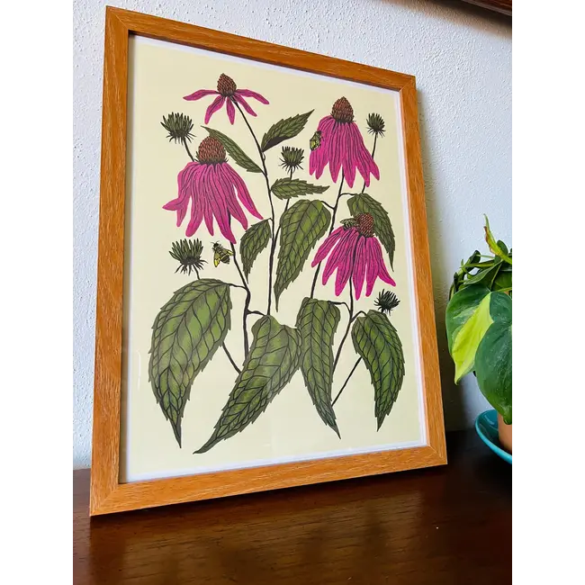 Needlebone Coneflower Print 11x14