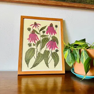 Needlebone Coneflower Print 11x14