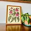 Needlebone Coneflower Print 11x14