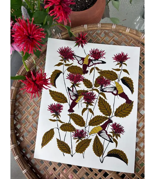 Needlebone Bee Balm Print 11x14