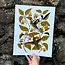 Needlebone Jewelweed Print 11x14