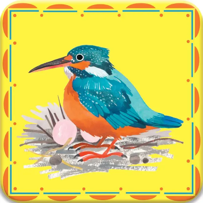 Birds Little Matching Game