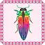 Beetles Little Matching Game