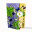 Full Moon Tea Company Secret Garden Mint Herbal Loose Leaf Tea