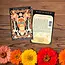 Sow the Magic Tarot Garden + Gift Seed Packet - Illumination Zinnia