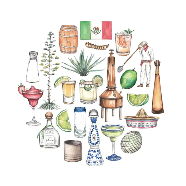 Green Blanky Studio Tequila Icon Watercolor Print 12 x 12"