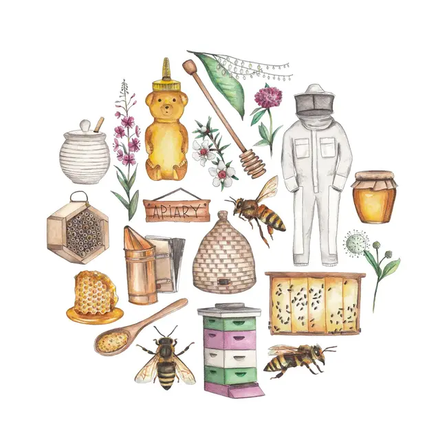 Green Blanky Studio Honey Icon Watercolor Print 12 x 12"