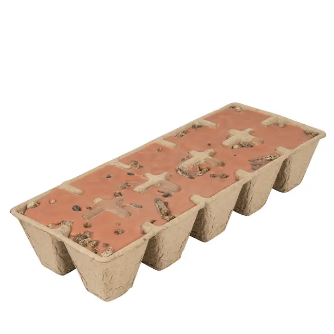 Firestarters - Whiskey + Tobacco