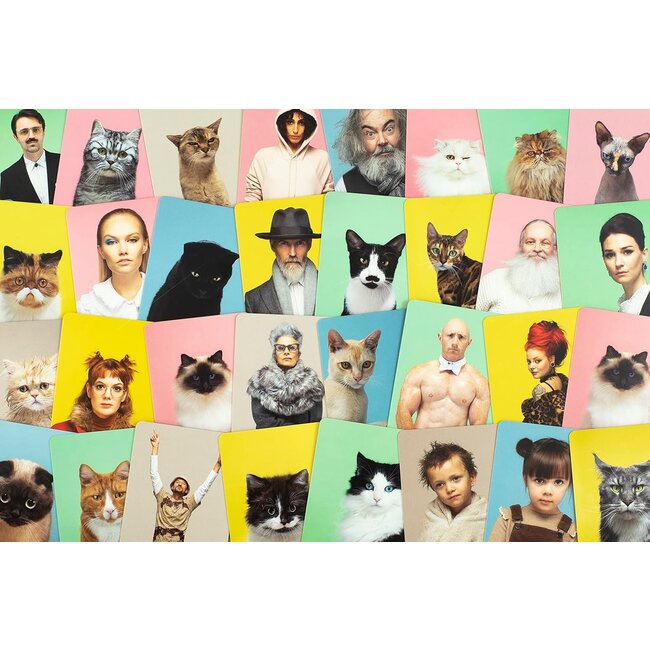 Do You Look Like Your Cat? A Matching Memory Game