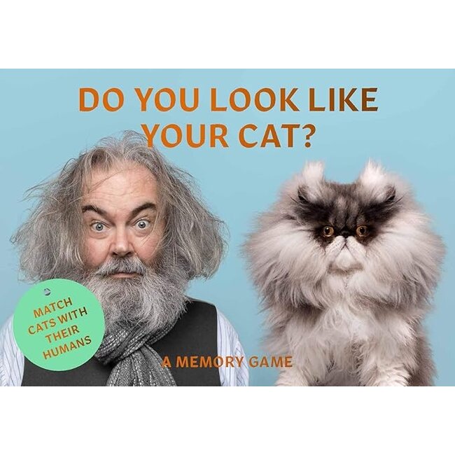 Do You Look Like Your Cat? A Matching Memory Game
