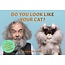 Do You Look Like Your Cat? A Matching Memory Game