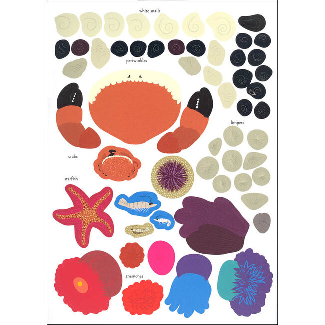 My Nature Sticker Activity Book: At the Seashore