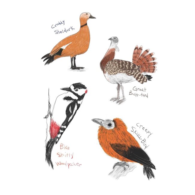 Field Guide to Dumb Birds Sticker Book